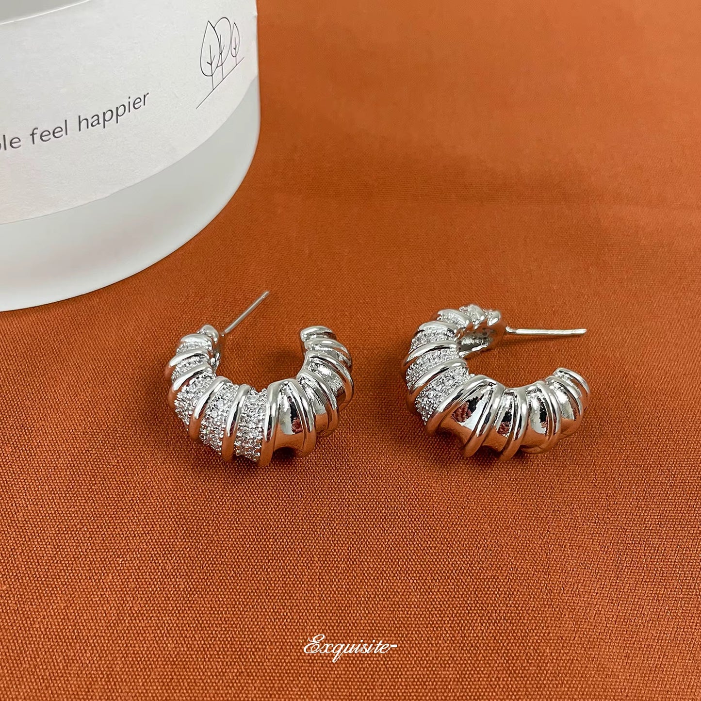 Earrings-