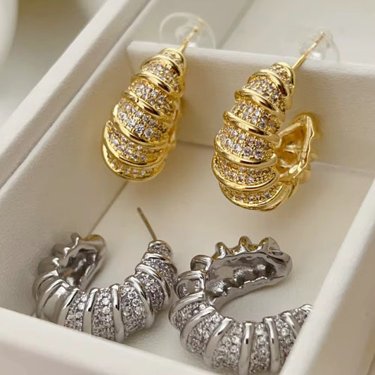 Earrings-