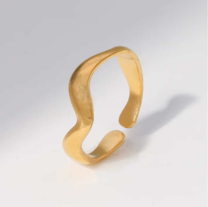 SS Ring Adjustable Series-13 Types