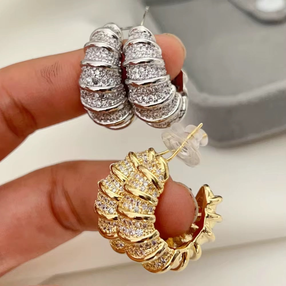 Earrings-