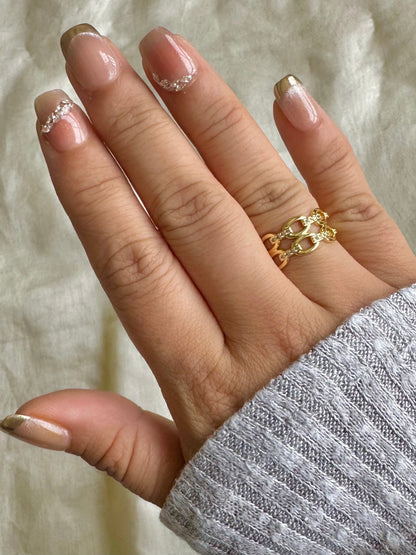 Double Chain Ring