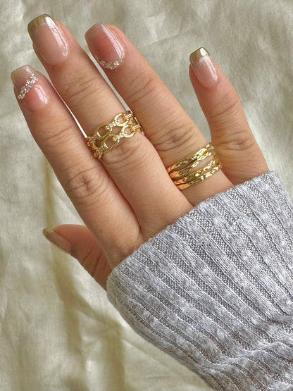 Double Chain Ring