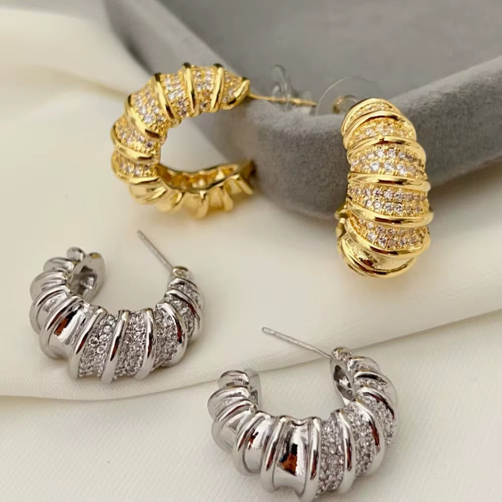 Earrings-