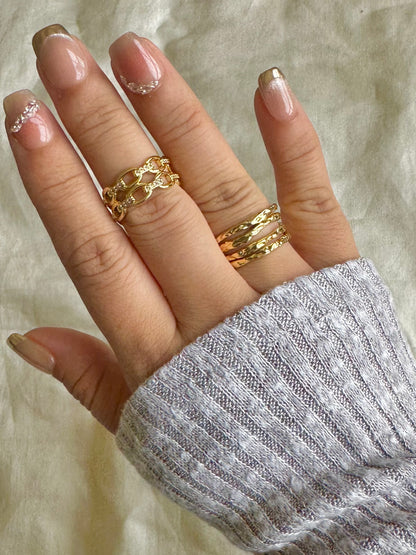 Double Chain Ring